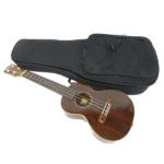 ウクレレ フェンダー 茶位 幸信 YukinobuChai NO.12 fece in Tokyo　